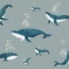 Whales I